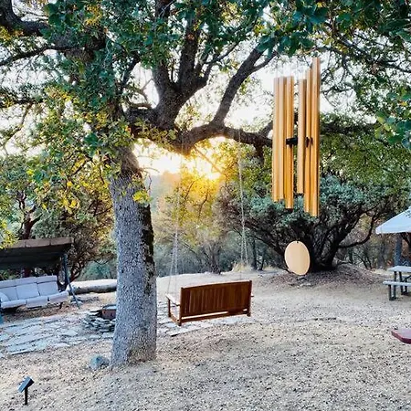 Modern House On 5 Acr In Sequoia National Forest Panorama Heights Exterior photo