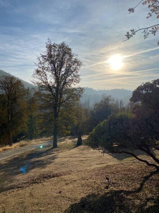Modern House On 5 Acr In Sequoia National Forest * Panorama Heights