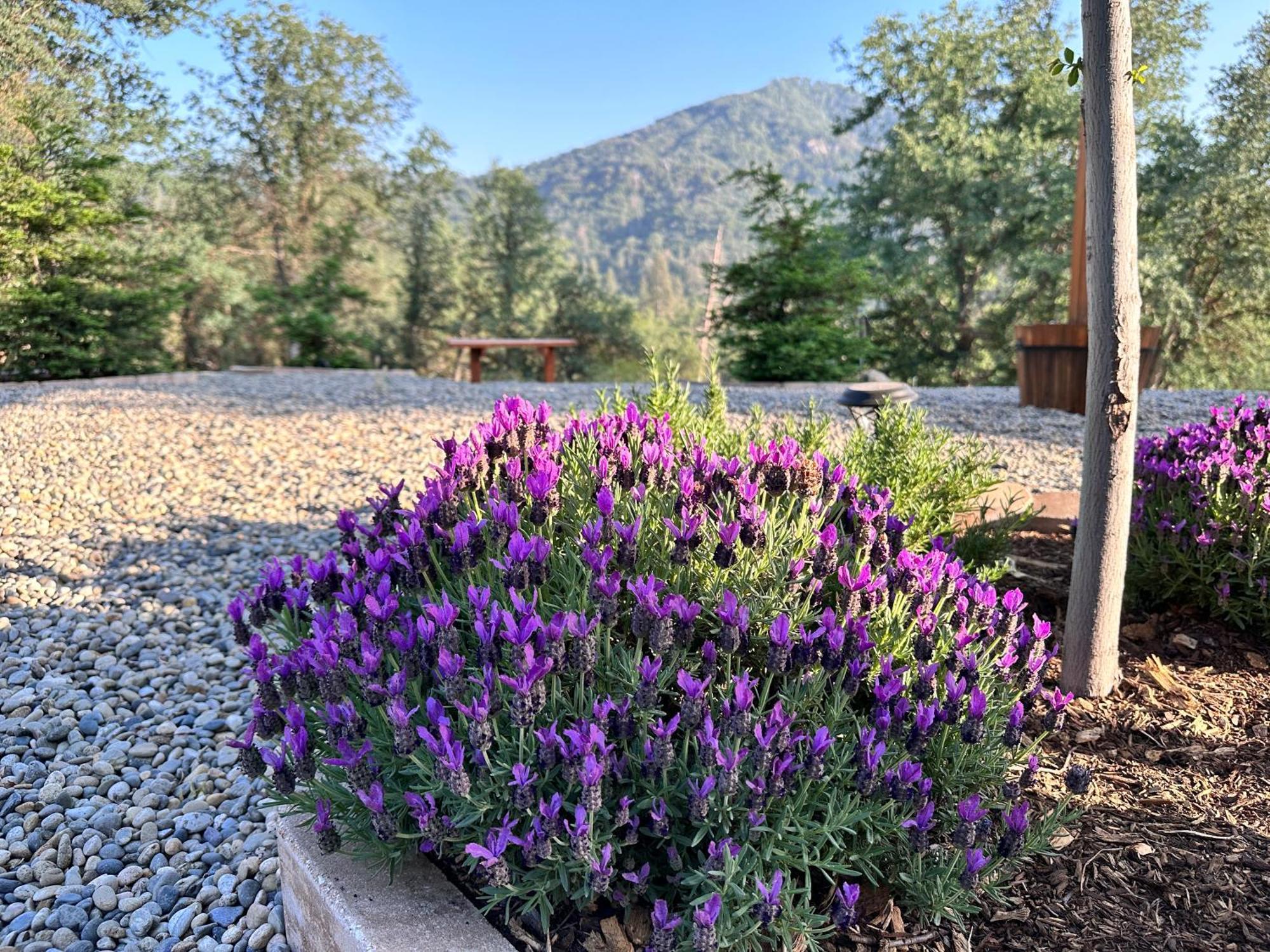 Holiday home Modern House On 5 Acr In Sequoia National Forest Panorama Heights